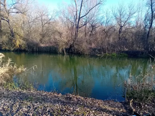 Horgászhely: Duna-Völgyi Főcsatorna