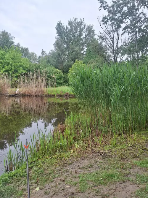 Vincsága horgásztó - Galéria kép