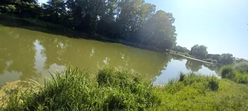 Horgászhely: Kerkaszentkirályi Kerka-holtág