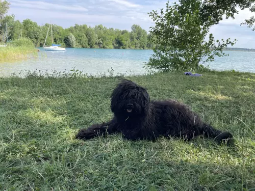 Gyékényesi Kotró-tó - Galéria kép