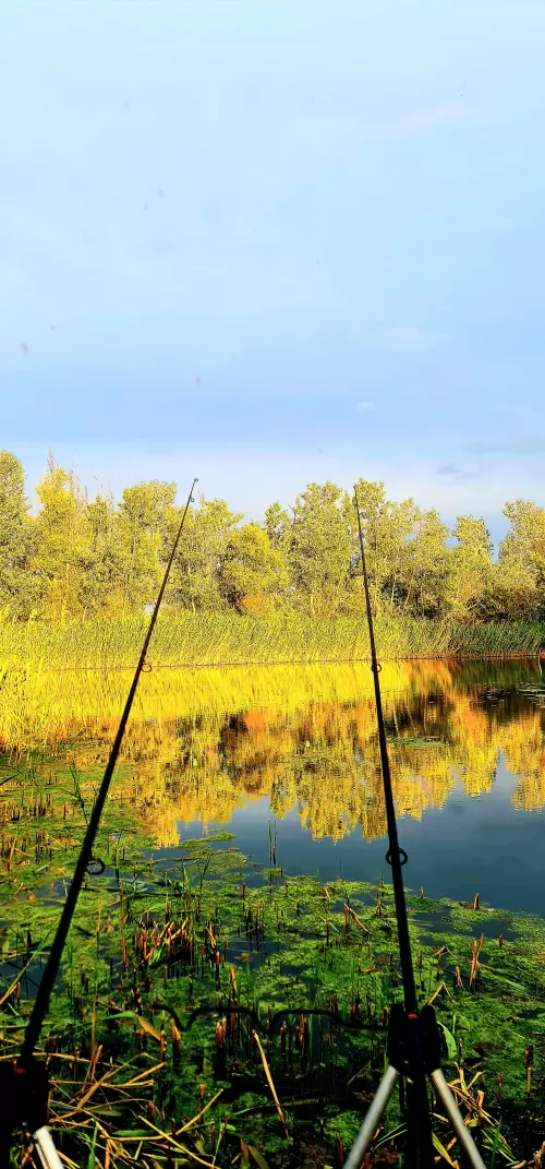 Horgászhely: Kiskunsági-főcsatorna