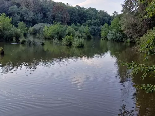 Borostyán-tó - Galéria kép