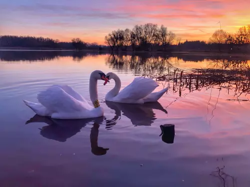 Pölöskei horgásztó - Galéria kép