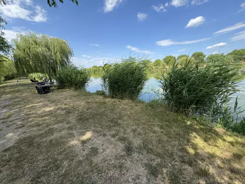 Sáska horgásztó - Galéria kép