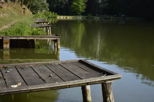 Tókaji Parkerdő - Galéria kép