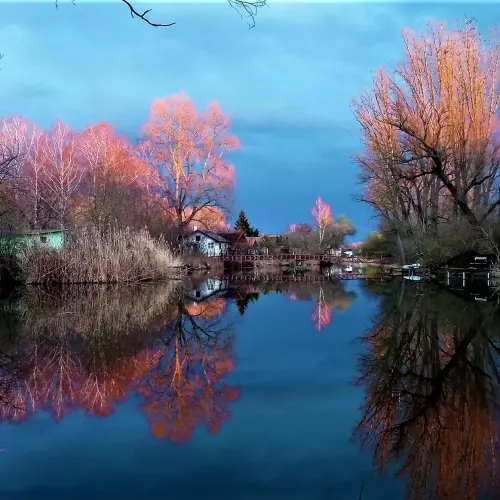 Holt-Marcal - Galéria kép