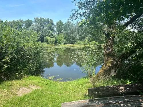 Berek holtág - Galéria kép