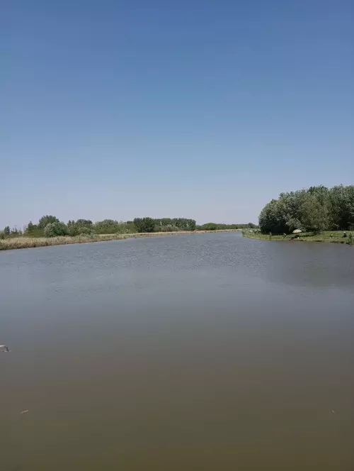 Tiszakécskei holtág - Galéria kép