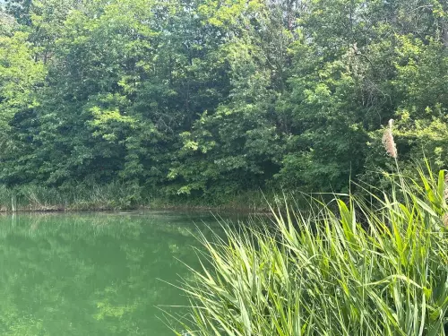 Ormosbányai bányató - Galéria kép