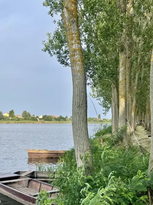 Nagy‑Morotva holtág - Galéria kép