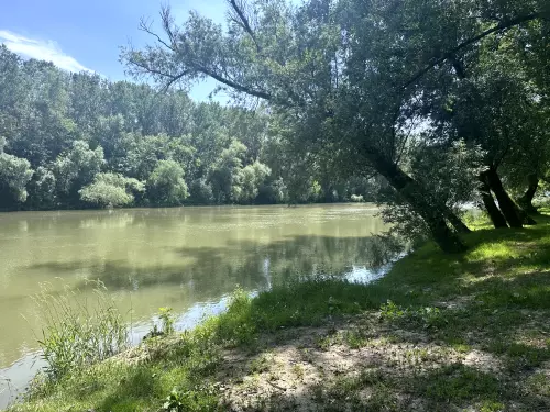 Bodrog folyó - Galéria kép