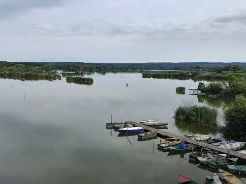 Zalaszentmihályi horgásztó - Galéria kép