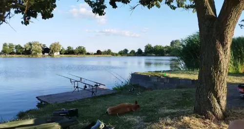 Horgászhely: Haldorádó horgásztó