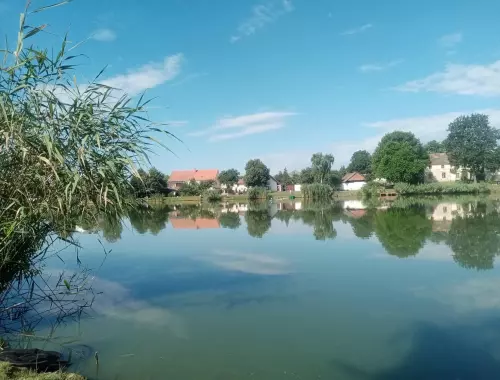 Horgászhely: Park-tó