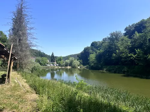 Alsó tó - Galéria kép