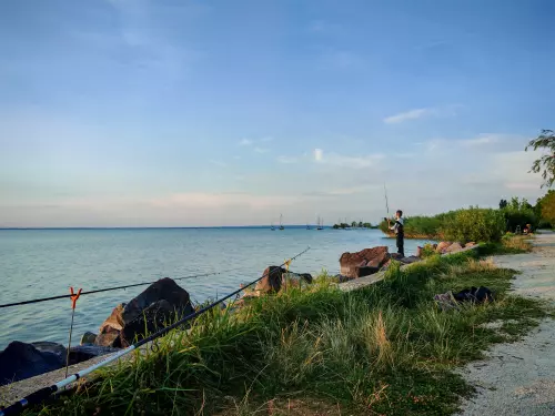 Horgászhely: Balatonalmádi partszakasz
