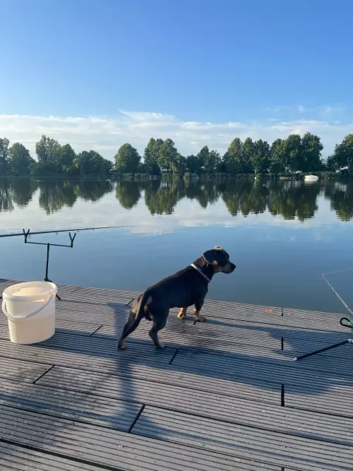 Ráckevei-Soroksári Duna - Galéria kép