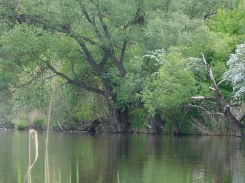 Őrbottyáni horgásztó - Galéria kép