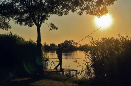 Horgászhely: 5-ös horgásztó