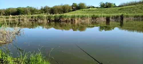 Kutasi horgásztó - Galéria kép