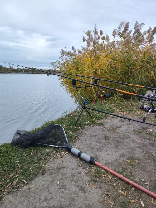 Füzes-tó - Galéria kép