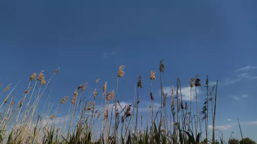 Látóképi Víztározó - Galéria kép