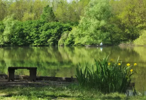 Borza Völgye Horgásztó - Galéria kép