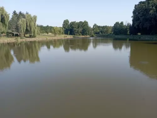 Surdi parktó - Galéria kép