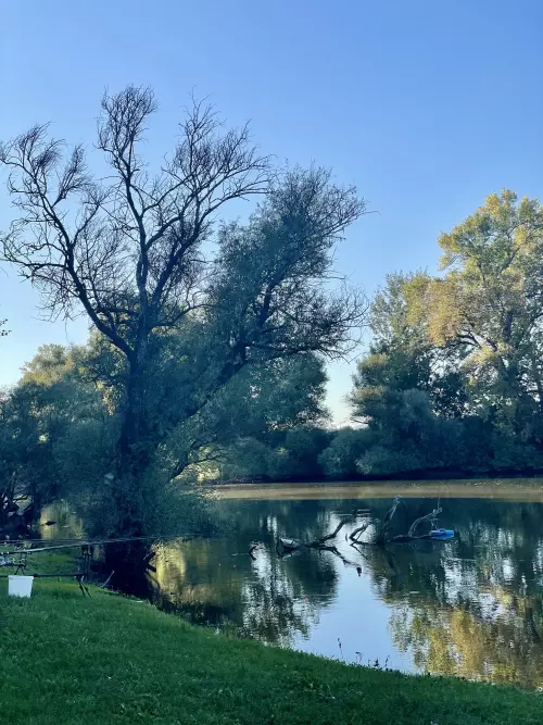 Kacsa-tó - Galéria kép