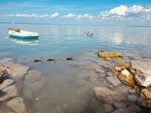 Horgászhely: Balaton, tihanyi partszakasz