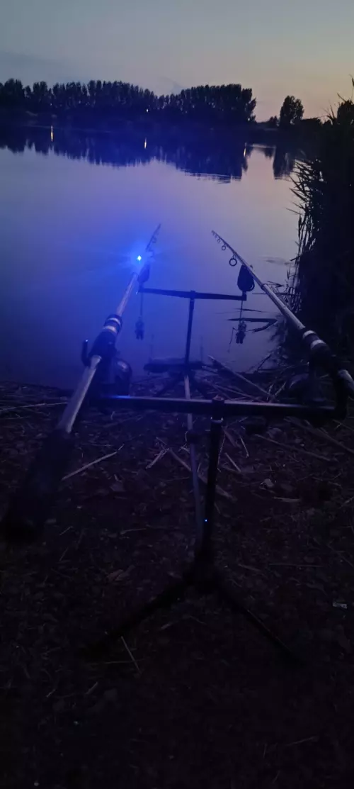 Fás-tó - Galéria kép