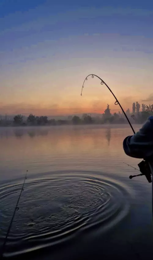 Ezerjó Horgásztó - Galéria kép