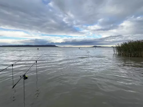 Balatonmáriafürdői partszakasz - Galéria kép