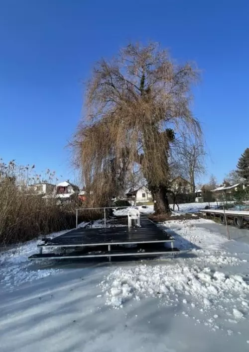 Horgászhely: Ráckevei-Soroksári Dunaág