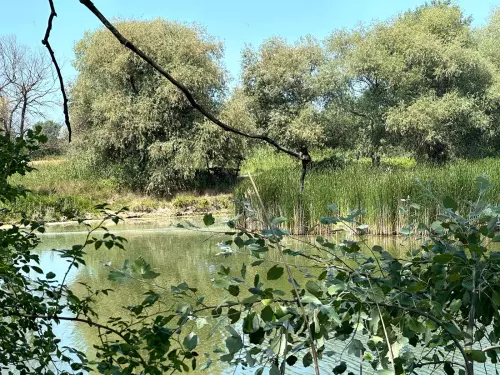 Sajószentpéteri I. II. III. tó - Galéria kép