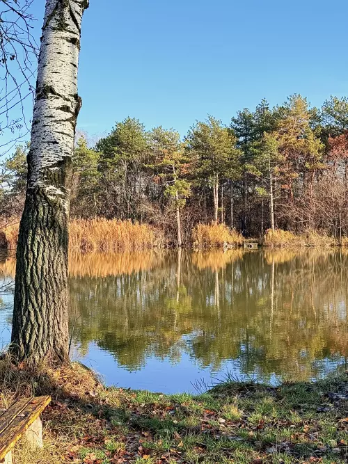 Sziksós-tó - Galéria kép