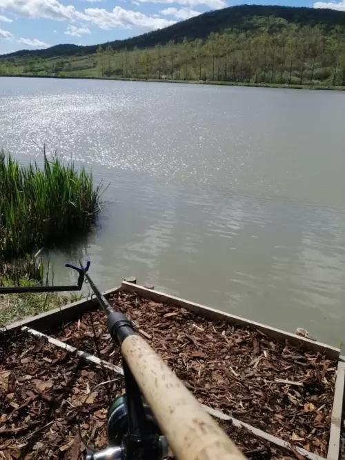 Never Zero Sporthorgásztó - Galéria kép