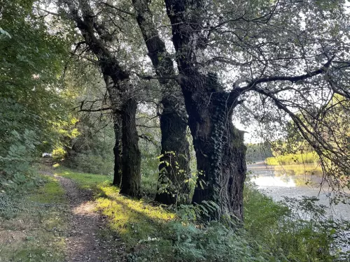 Kis-Tisza holtág - Galéria kép