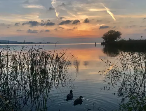 Horgászhely: Balaton, keszthelyi partszakasz