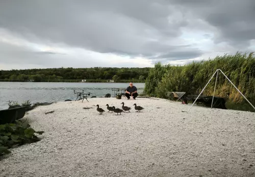 Arizóna Carp Lake - Galéria kép
