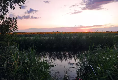 Horgászhely: Millér Horgásztó