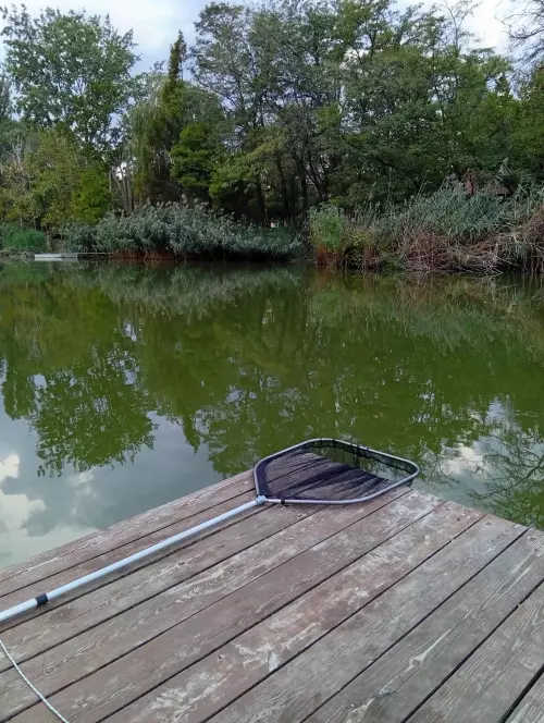 Hantoskerti-holtág - Galéria kép