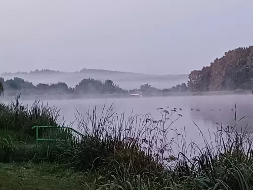 Horgászhely: Borostyán-tó