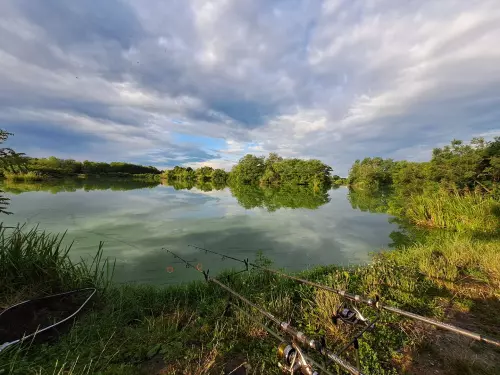 Magyarszecsődi-tó - Galéria kép
