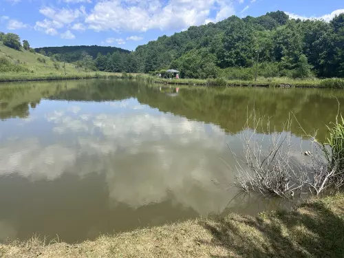 Trizsi horgásztó - Galéria kép