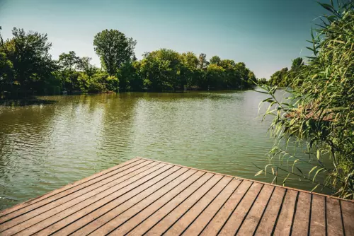 Bónom-zug - Galéria kép