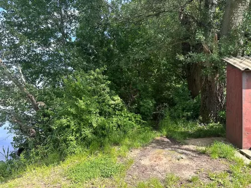 Tiszalúci Holt-Tisza - Galéria kép