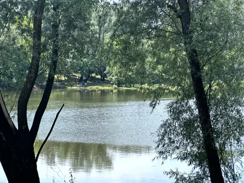 Csobaji-holtág/Kifli-tó - Galéria kép