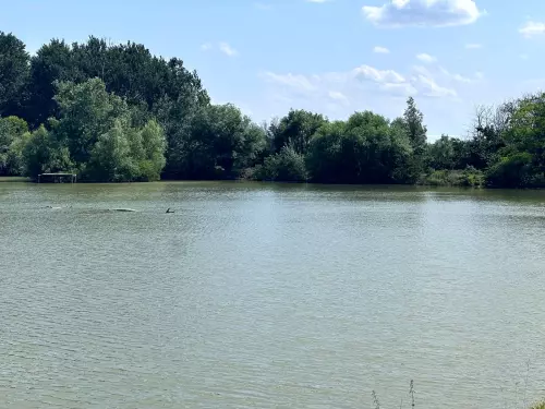 Csónakázótó és Szabadidőközpont - Galéria kép