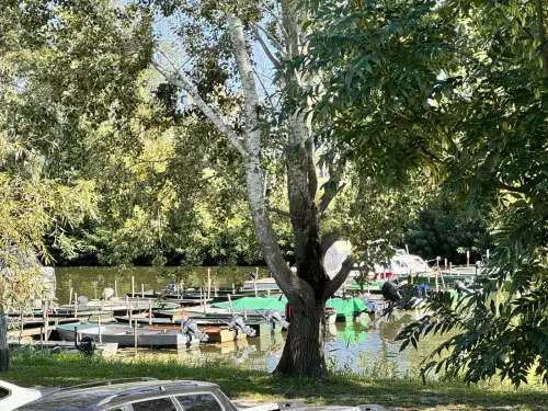 Delfin Kikötő - Galéria kép